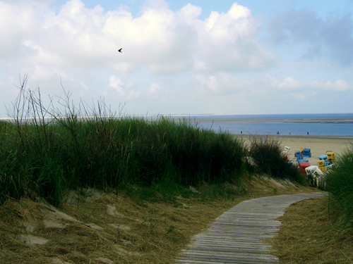 http://wallpaper.johanneskroening.de/wp-content/uploads/2009/12/weg_zum_strand.jpg